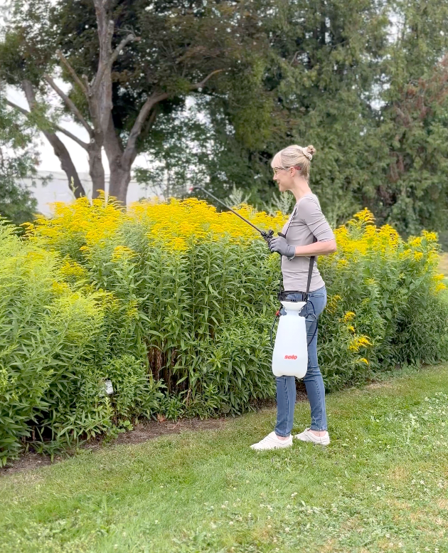 Frau mit SOLO 211 Sprüher behandelt gelbe Staudenpflanzen im Garten mit Pflanzenschutzmittel.