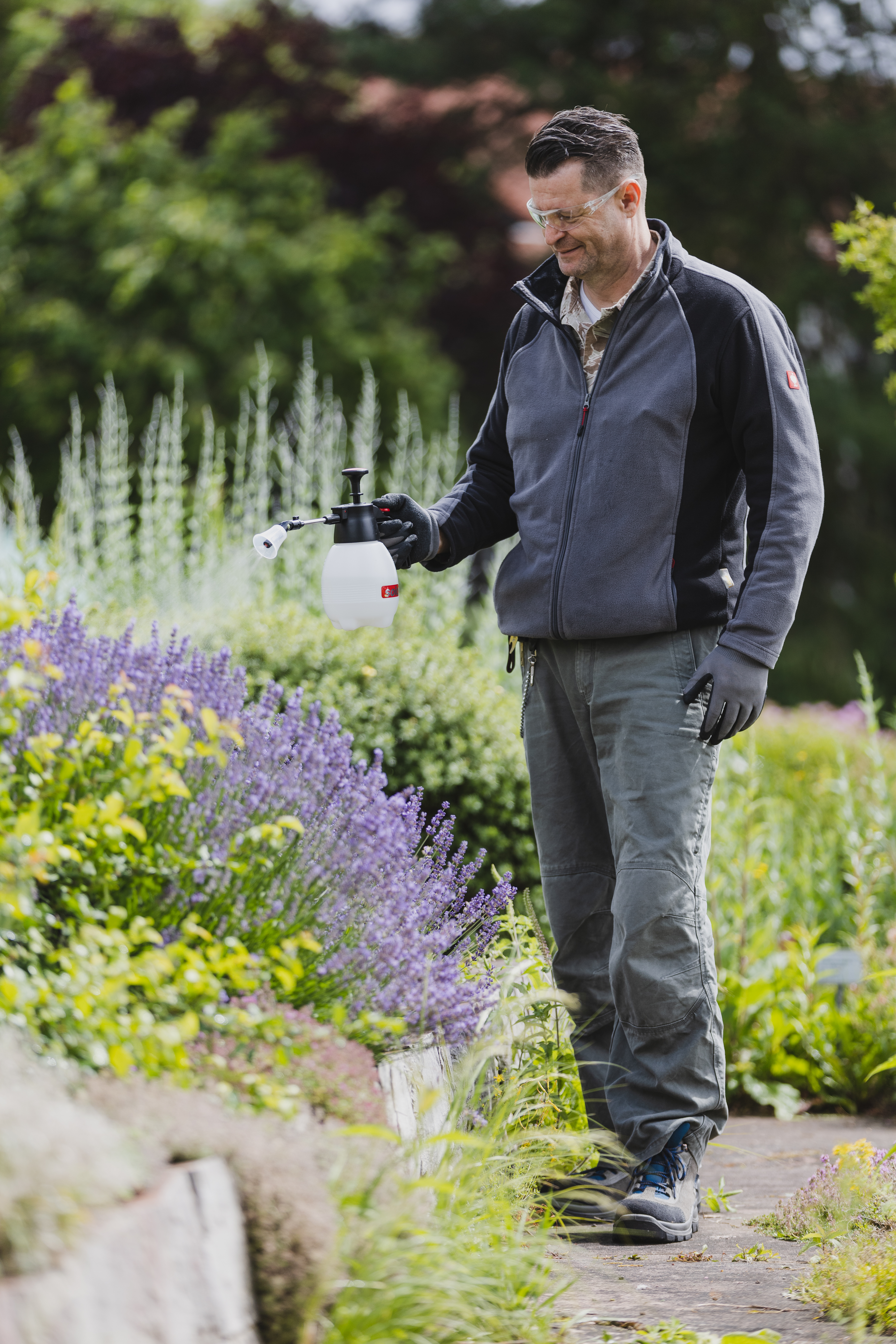 Mann mit Schutzbrille und SOLO Handsprüher besprüht blühenden Lavendel in einem gepflegten Garten.