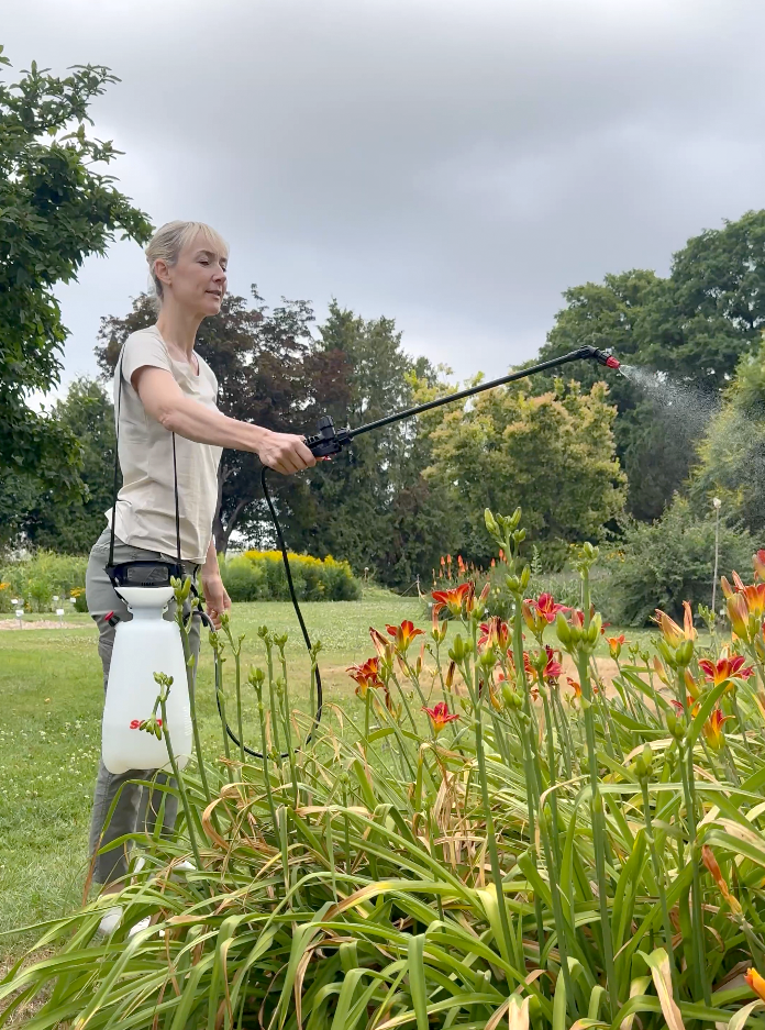 Frau mit SOLO 212 Sprüher besprüht rote Taglilien im Garten mit Pflanzenschutzmittel.