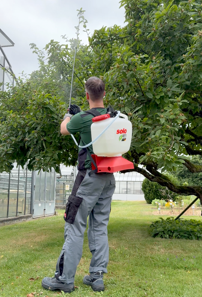 Mann mit SOLO 411 Rückenspritze sprüht Pflanzenschutzmittel in die Baumkrone eines Obstbaums neben einem Gewächshaus.